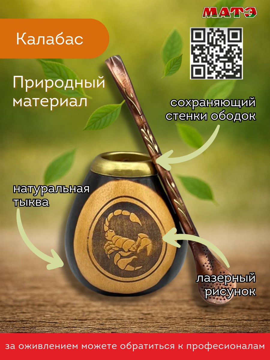 Комплект для мате калабас Скорпион с бомбильей фото